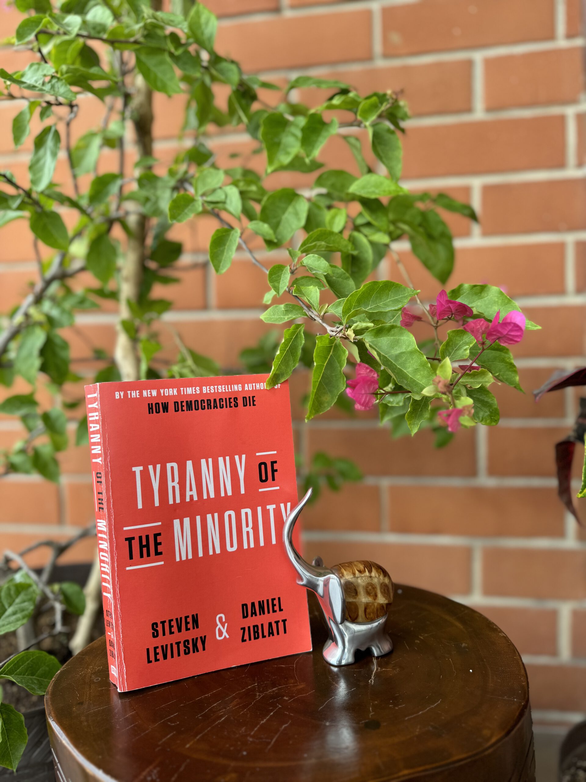 Levitsky,Steven & Ziblatt, Daniel: Die Tyrannei der Minderheit/Tyranny of the minority/La dictadura de la minoría