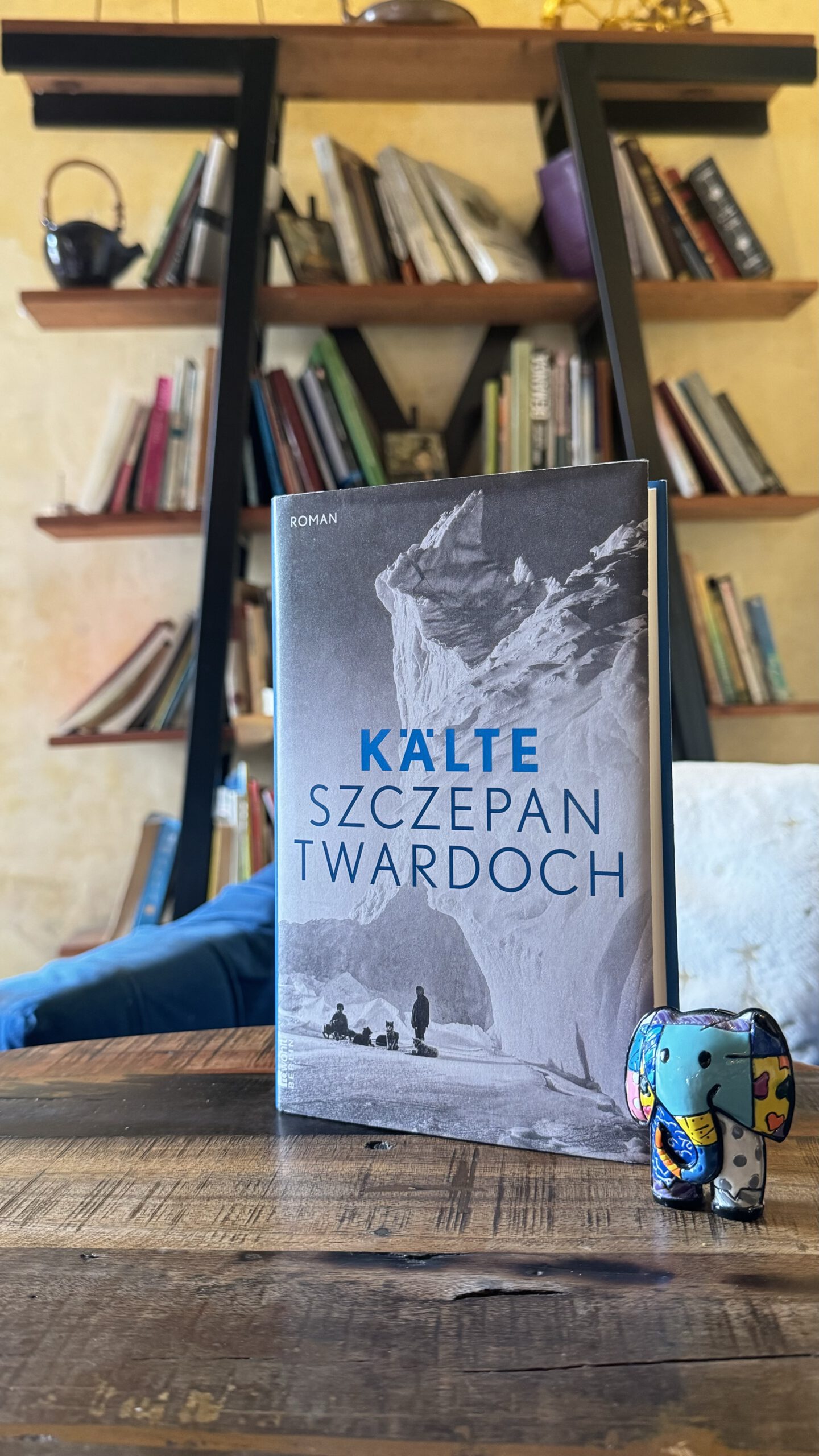 Szczepan Twardoch: Kälte