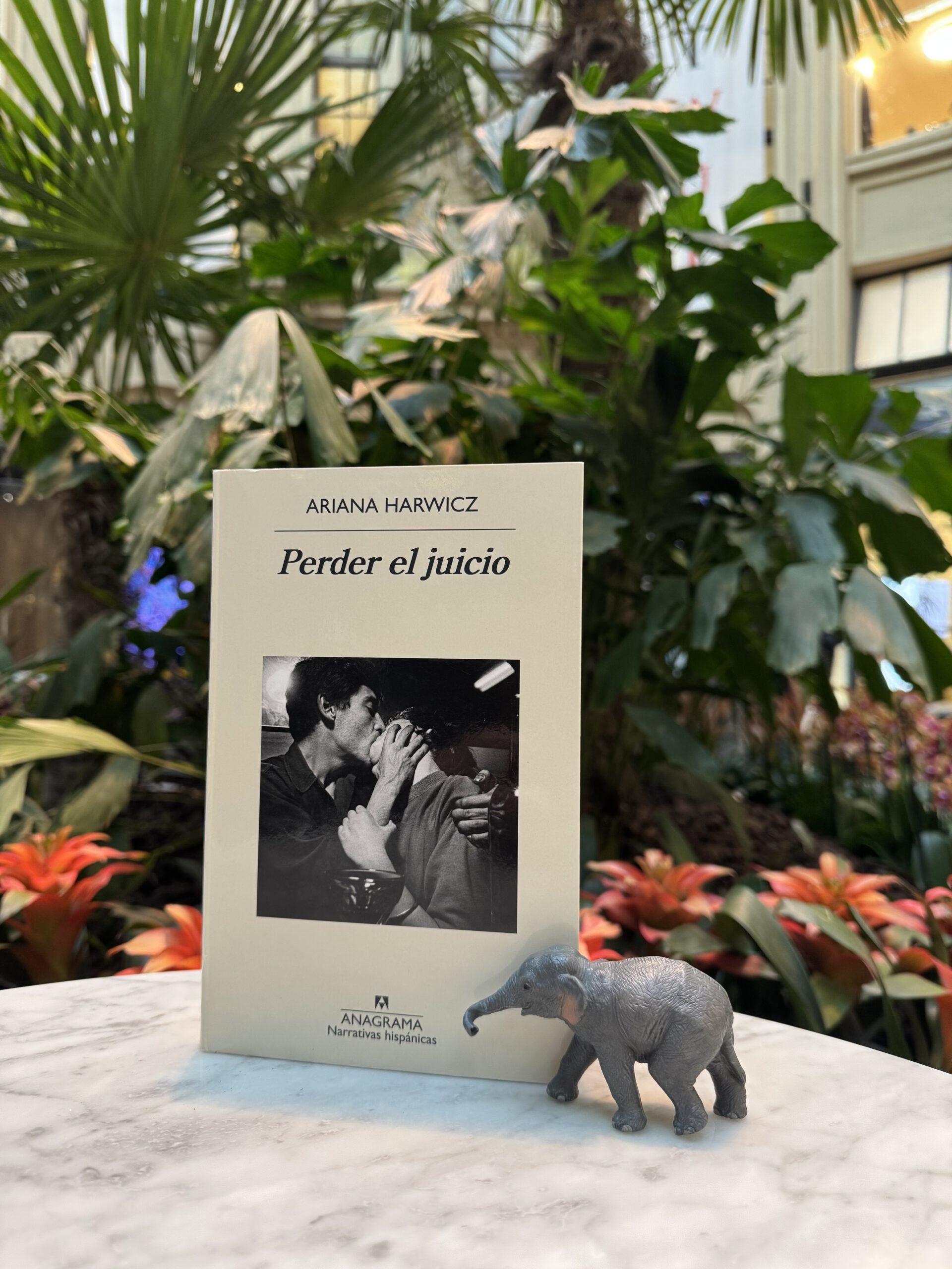 Ariana Harwicz: Perder el juicio / Kopflos